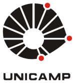logo-unicamp_2
